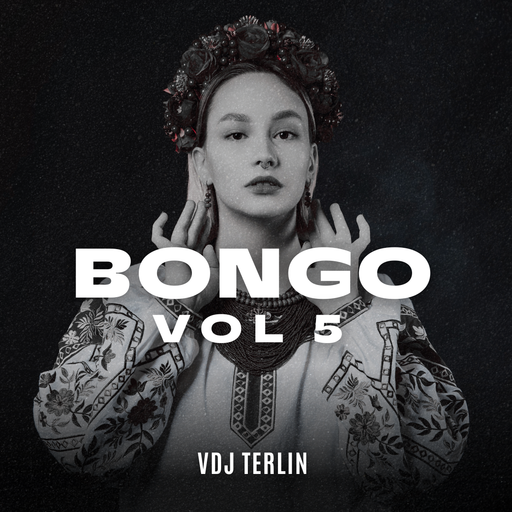 Bongo Mix Vol 5 - VDJ TERLIN