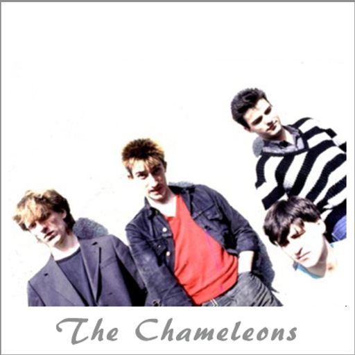 The Chameleons - by Babis Argyriou