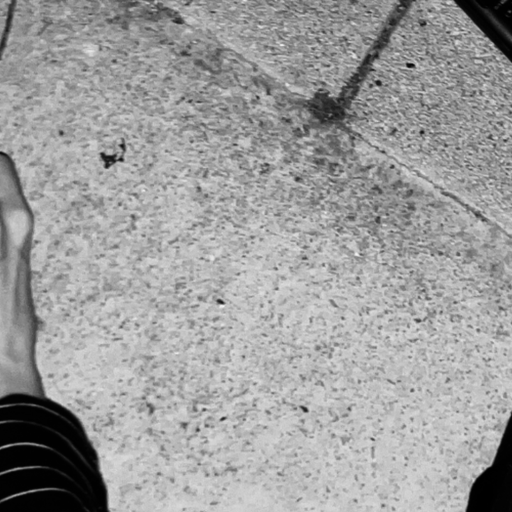 Radio Concrete #59 - Snezhana Reizen - Antenna - 10 September 2025