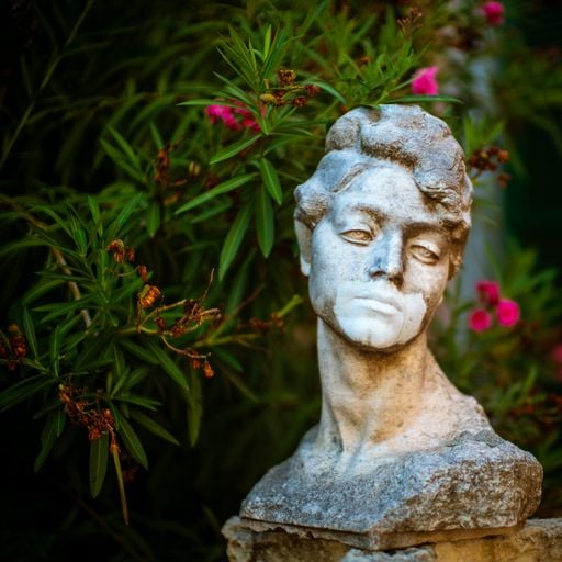 Flowers, Garden, Summer