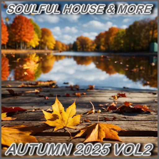 Soulful House & More Autumn 2025 Vol 2