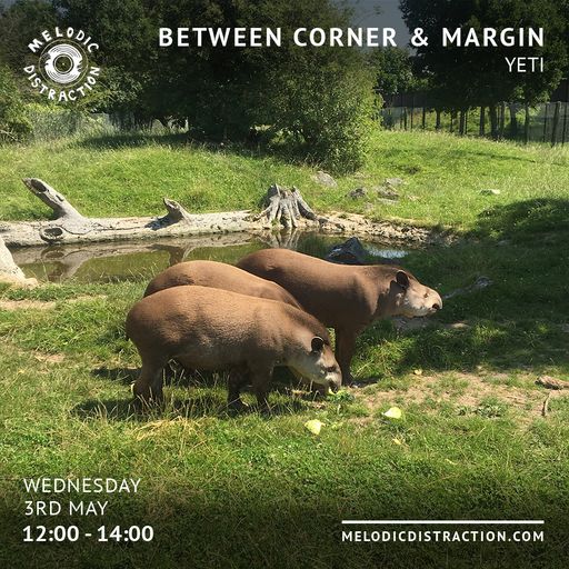 Between Corner & Margin With Yeti (May '23)