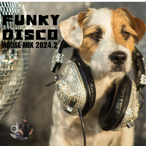 Funky Disco House Mix 2024.2