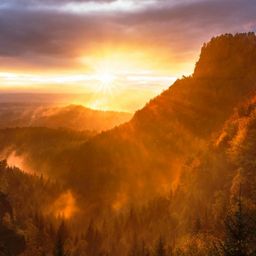 Naviar Broadcast #330 - The Huge Setting Sun - 31st July 2024
