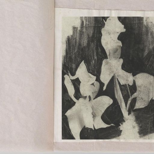 The Early Bird Show w/ Jack Rollo & Rosa Methol - 20th February 2026