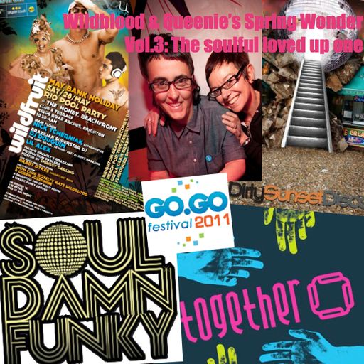 Wildblood and Queenie's Spring Wonder Vol.3: The soulful funky one