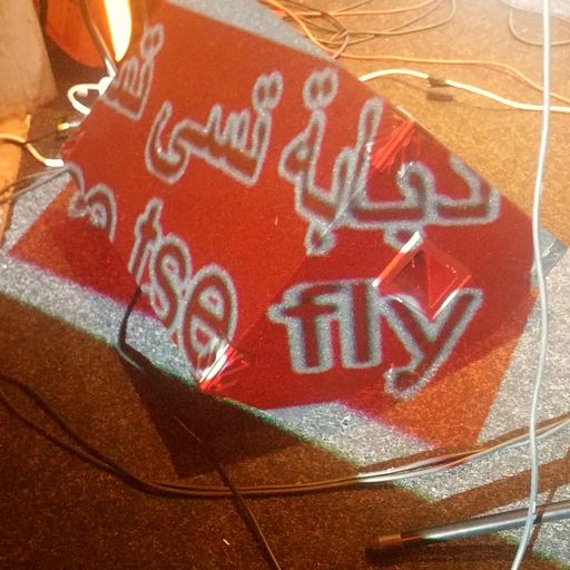 Tse Tse Fly Middle East # February 2023 - 7th February 2023