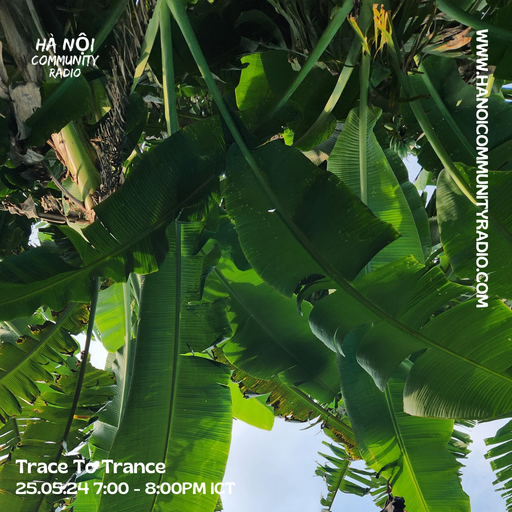 Trace To Trance w/ Transkyy 5.2024