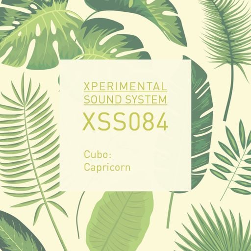 XSS084 | Cubo | Capricorn