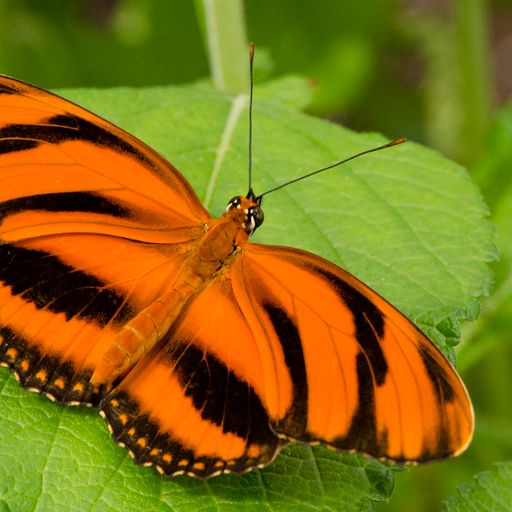 Quietmusic - December 28 (Hour 2 excerpt)