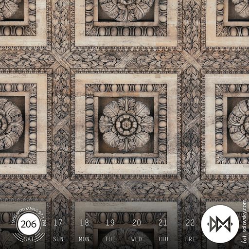 Digital Meditation # 206 [ SIRIUSMO / ELECTRIC WIRE HUSTLE / SAMPHA / JARECKI ]