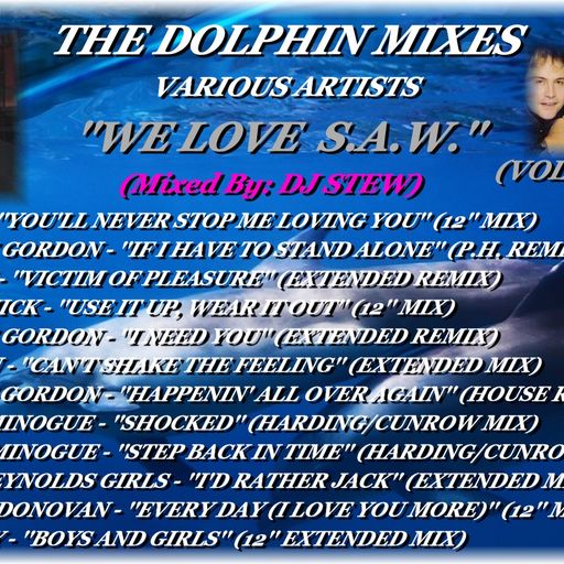THE DOLPHIN MIXES - VARIOUS ARTISTS - ''WE LOVE  S.A.W.'' (VOLUME 6)