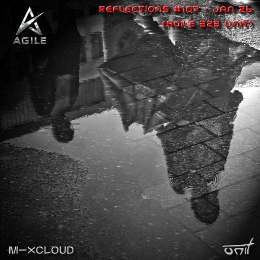 Reflections #107 (Agile b2b unit) - January 2026