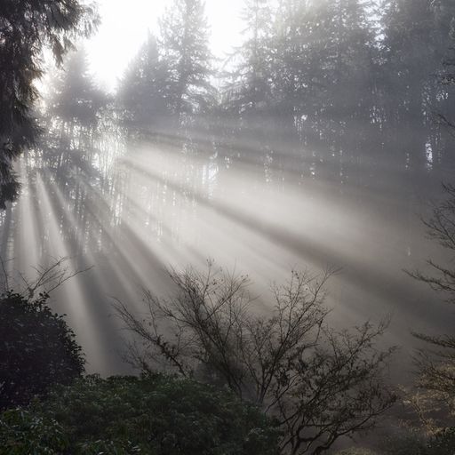 Naviar Broadcast #368 - Slanting Sunlight Rays - 21 May 2025
