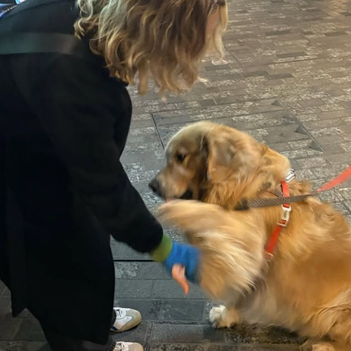 The New Dance Show w/ D4ISY - 23/01/26 [Voices Radio]