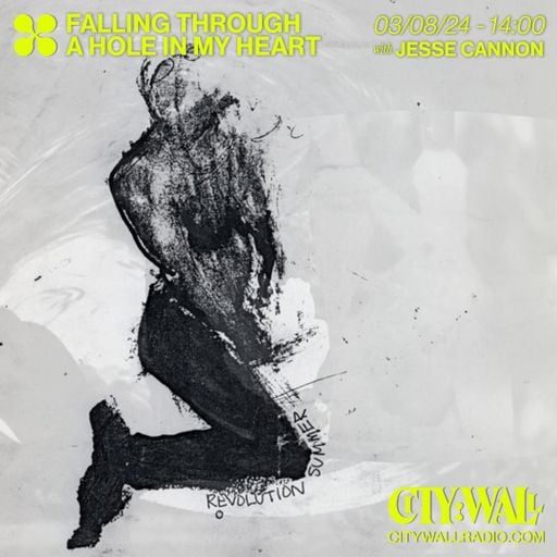 Falling Through A Hole In My Heart w/ Jesse Cannon - August 2024