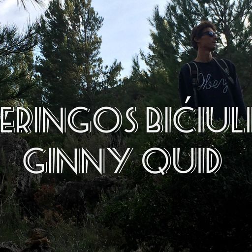 Neringos bičiulis: Ginny Quid 2017.01.04