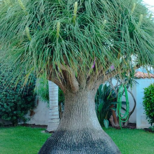 DREADheadz 5 LOK am 20.2.2024