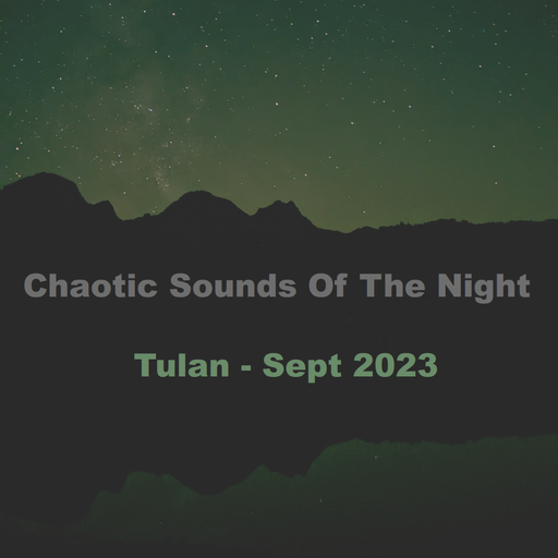 Chaotic Sounds Of The Night - Sept 2023