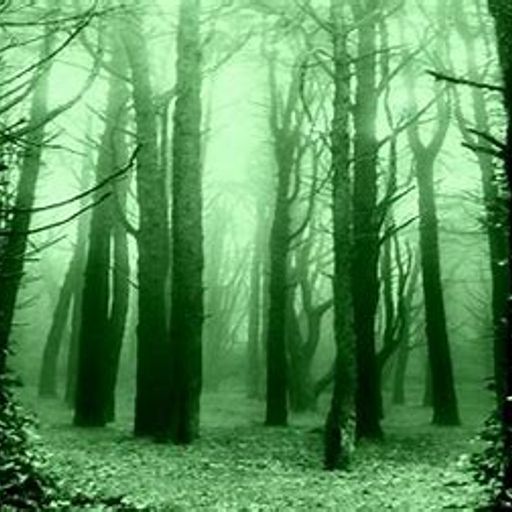 Night Moods III (UneasyListening)