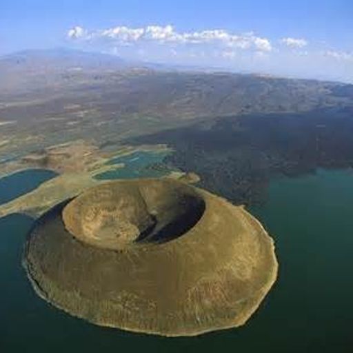 digitally weak knees with AusT