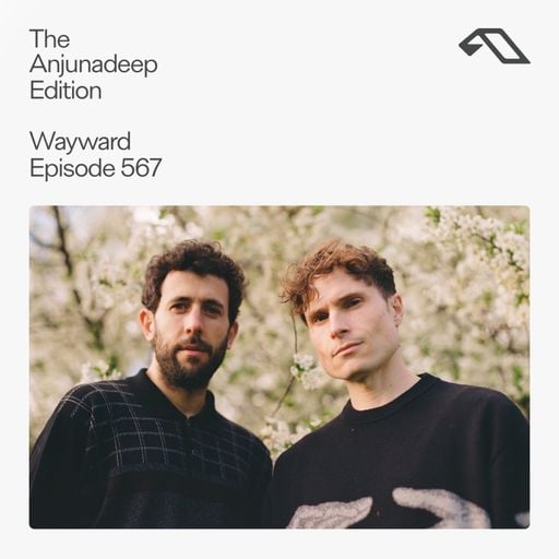The Anjunadeep Edition 567 with Wayward