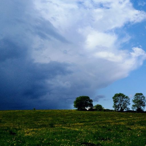 Littoral Transmissions #36 - Across the Fields - 25th May 2022