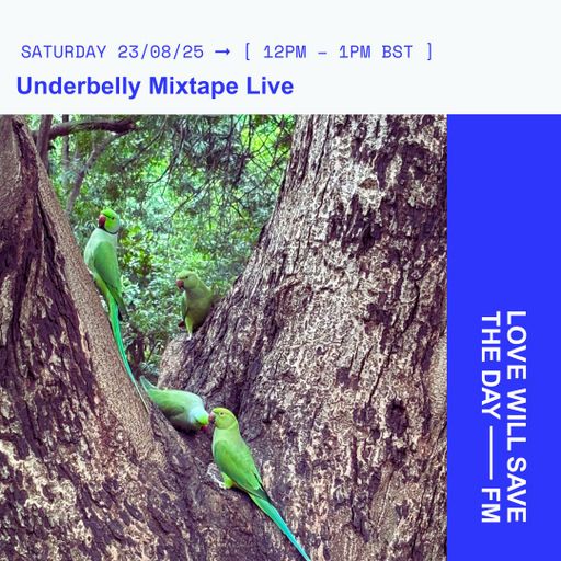 2025-08-23 Underbelly Mixtape - Waxxmatic