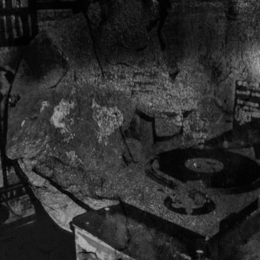 June 20 Punchy House