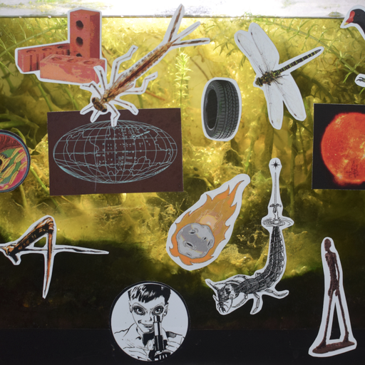 La Matinale du mardi 28 janvier