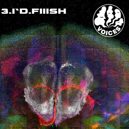 3.I.D.FIIISH - 26/01/23