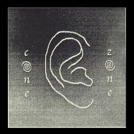 CONE ZONE 010 w/ Cat