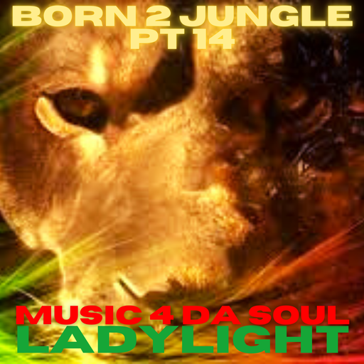 Born 2 Jungle Pt 14 - Music For The Soul