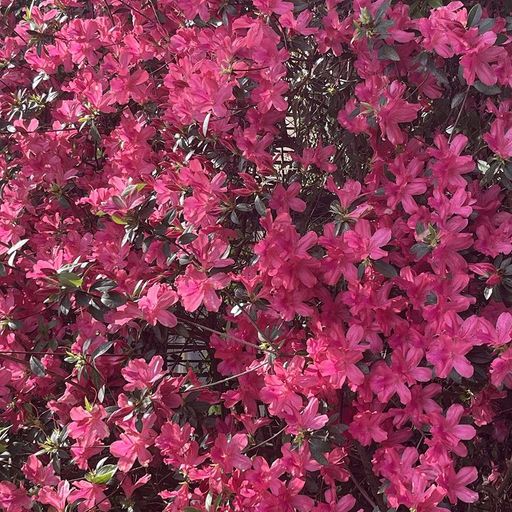 Self Soothe w/ Margeaux - 14th April 2026