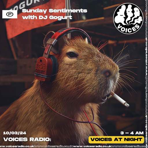 Sunday Sentiments w/ DJ Gogurt - 10.03.24