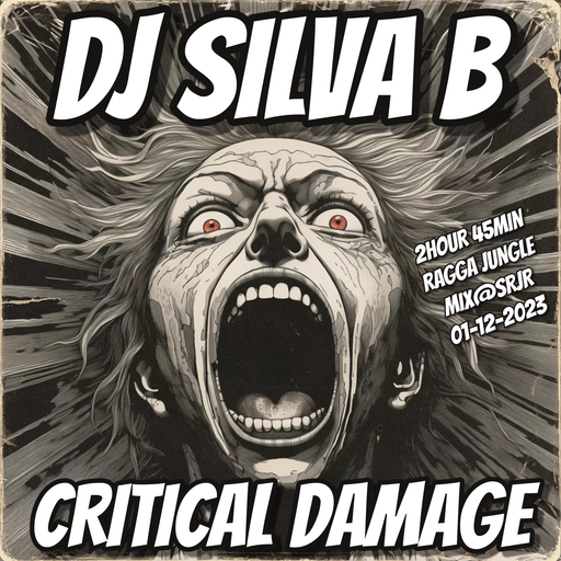 CRITICAL DAMAGE - DJ SILVA B 2HOUR 45MIN LIVE RAGGA JUNGLE @SRJR 01-12-2023