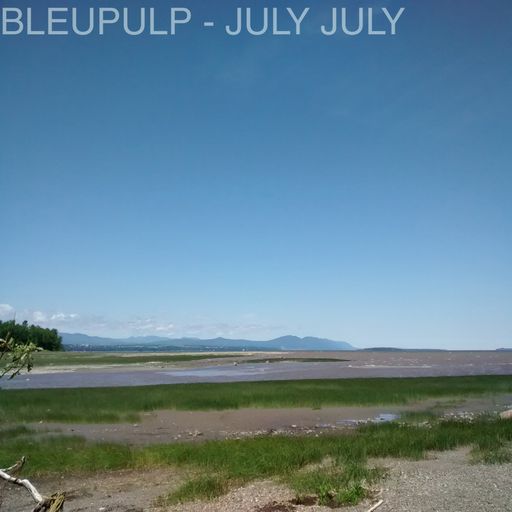 bleupulp - july july