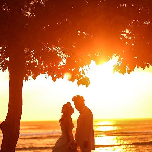 2025 MAY EARLY SUMMER  "Wedding Love Songs" J-POP MASHUP BEST MEGAMIX『未来予想図Ⅱ』