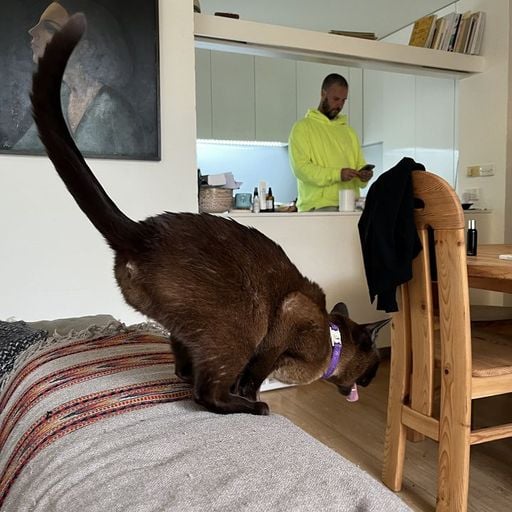 Conrad Standish - 6th November 2025