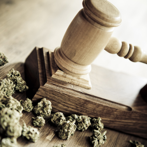 Kali Mercier of the NZ Drug Foundation (21-08)