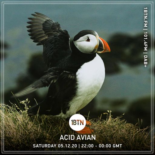 Acid Avian - 05.12.2020