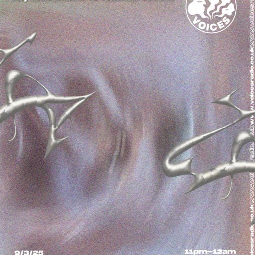 How Did It Get So Late? w/ Beaabea & Small Crab - 09/03/25 - Voices Radio