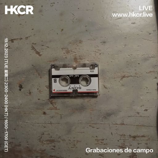 Grabaciones de campo - 19/12/2023