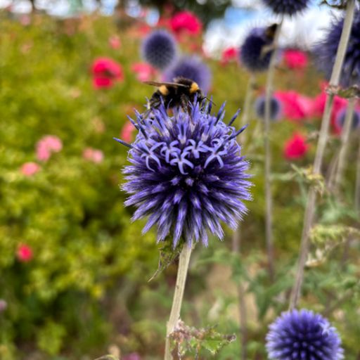 Deep House Therapy w/ Marcus Nilla - 25.03.25 [Bloop London Radio]