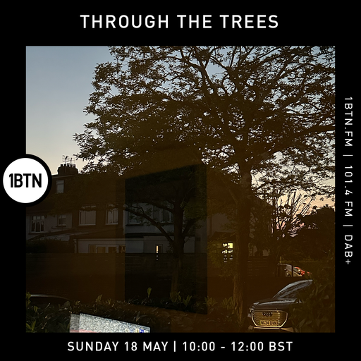 Through The Trees - 18.05.25