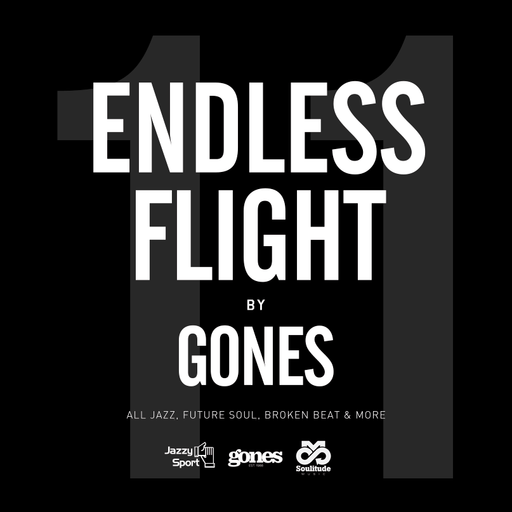 ENDLESS FLIGHT #11 (Dec. '20)