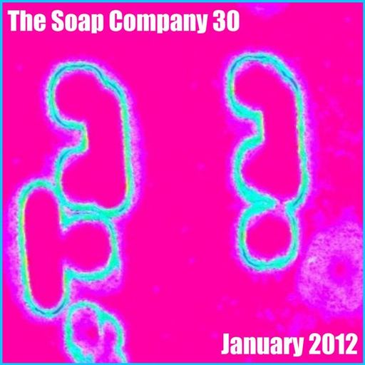 The Soap Company 2012.4 - The January Essential 30