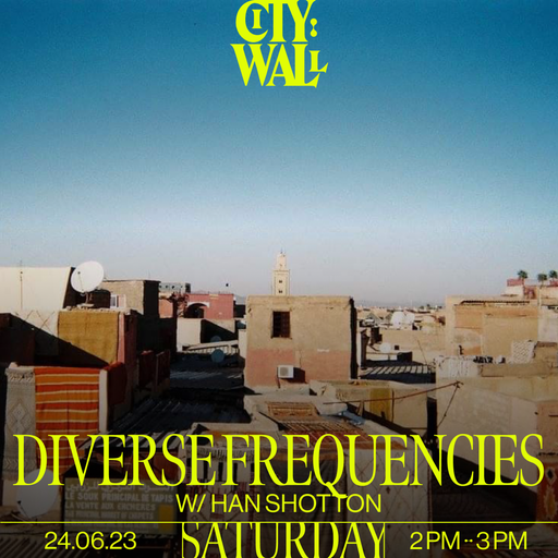 Diverse Frequencies w/ Han Shotton - June 2023