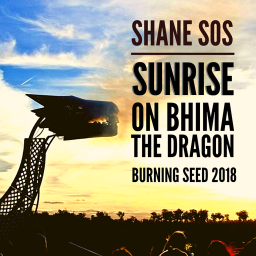Sunrise on Bhima - Burning Seed 2018