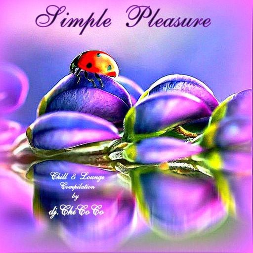 ""SIMPLE PLEASURE"" chill & lounge compilation